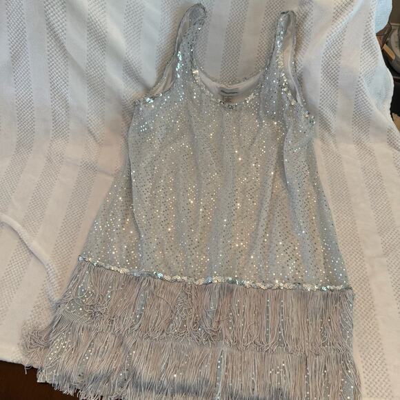 Dresses & Skirts - halloweencostumes.com silver flapper dress size 2X